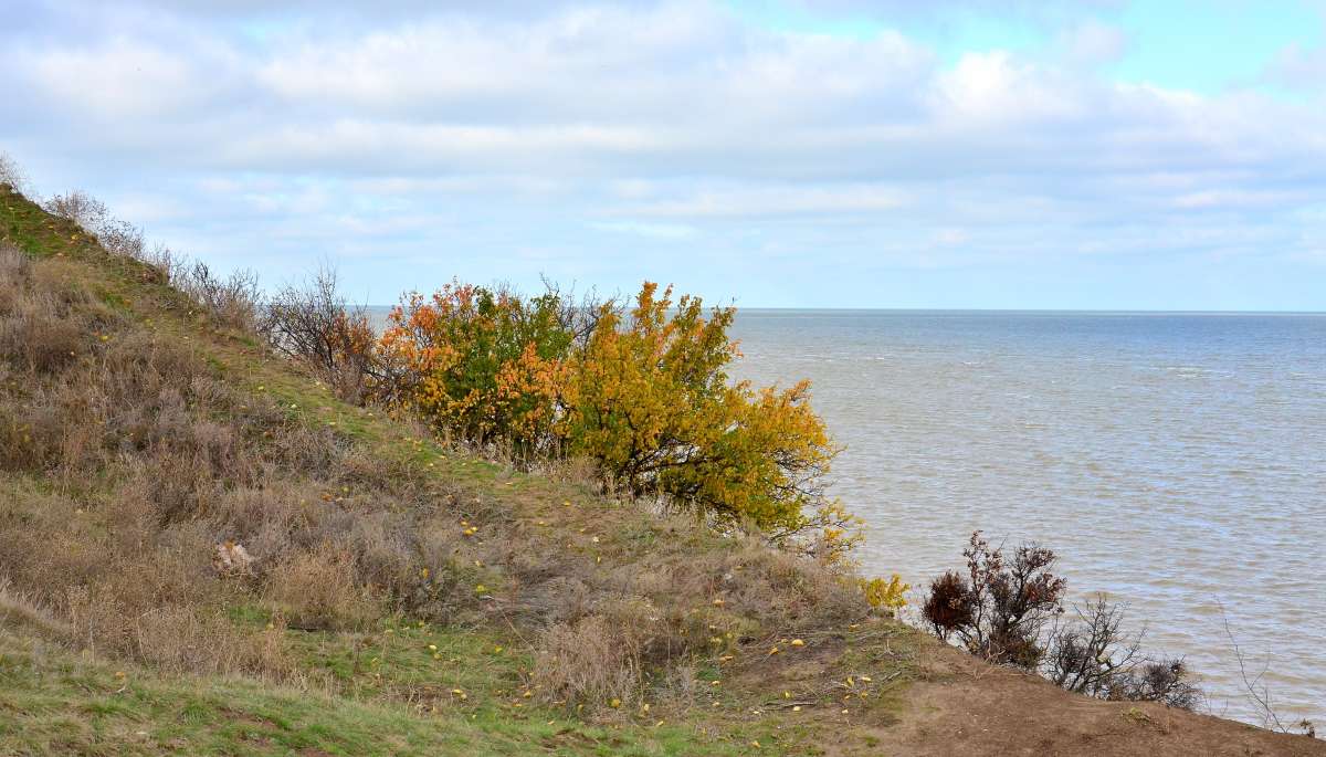 ����� �� ��������� ����� ����  �� PhotoGeek.ru #������ ��� �������