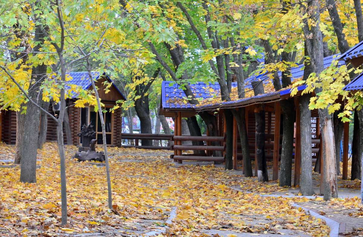 � ������� ����� ����� ����  �� PhotoGeek.ru #������ ��� �������