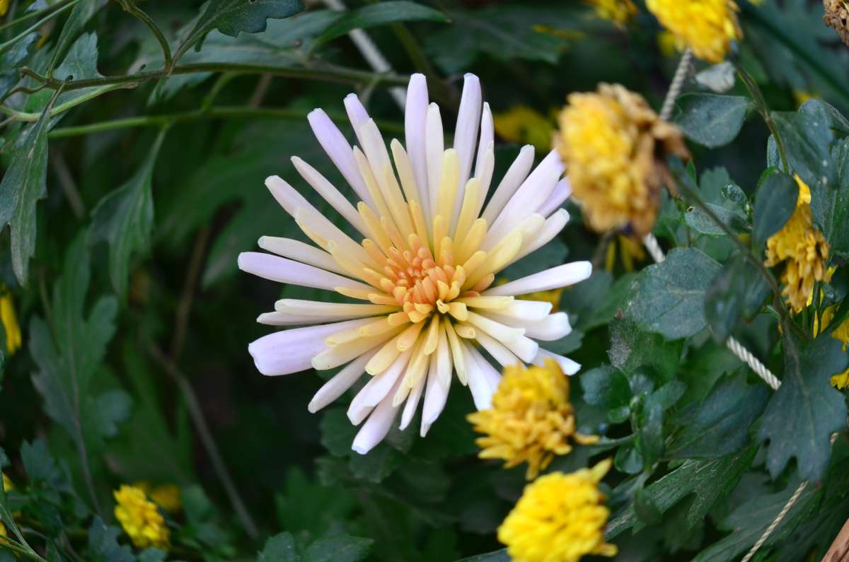 ... ����� ����  �� PhotoGeek.ru #������ ��� �������