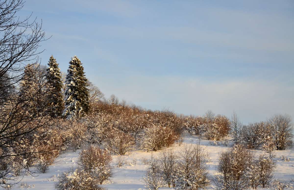 ���� ���� ����� ����  �� PhotoGeek.ru #������ ��� �������