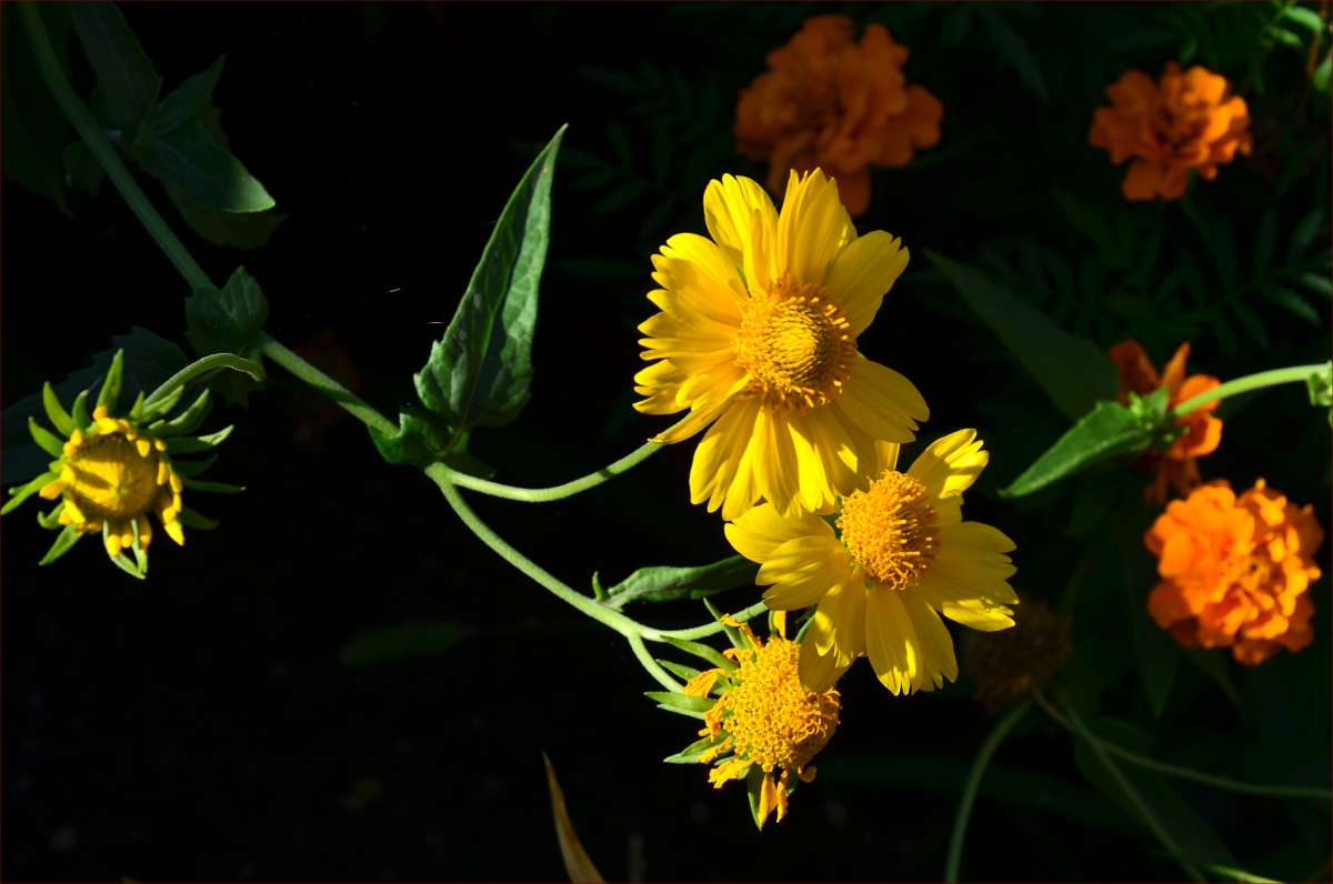 ... ����� ����  �� PhotoGeek.ru #������ ��� ������� #���������