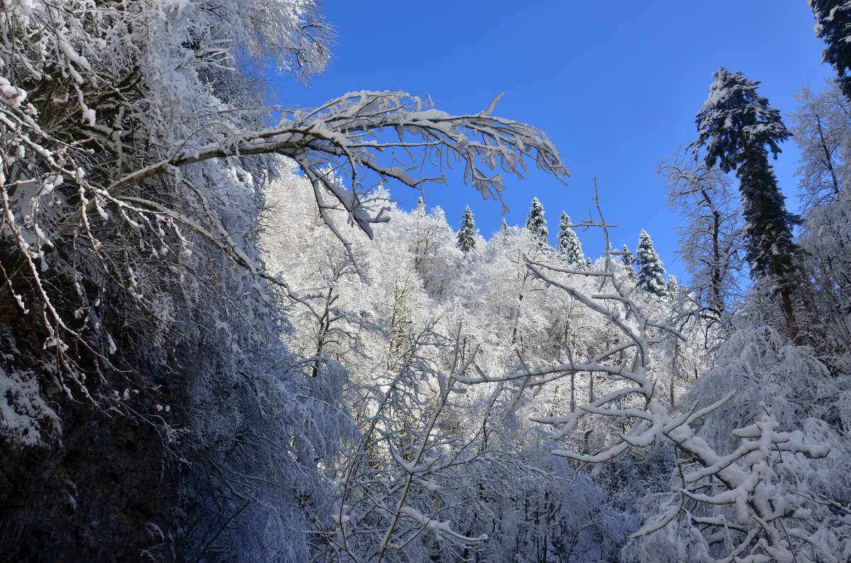 ���� ���� ����� ����  �� PhotoGeek.ru #������ ��� �������