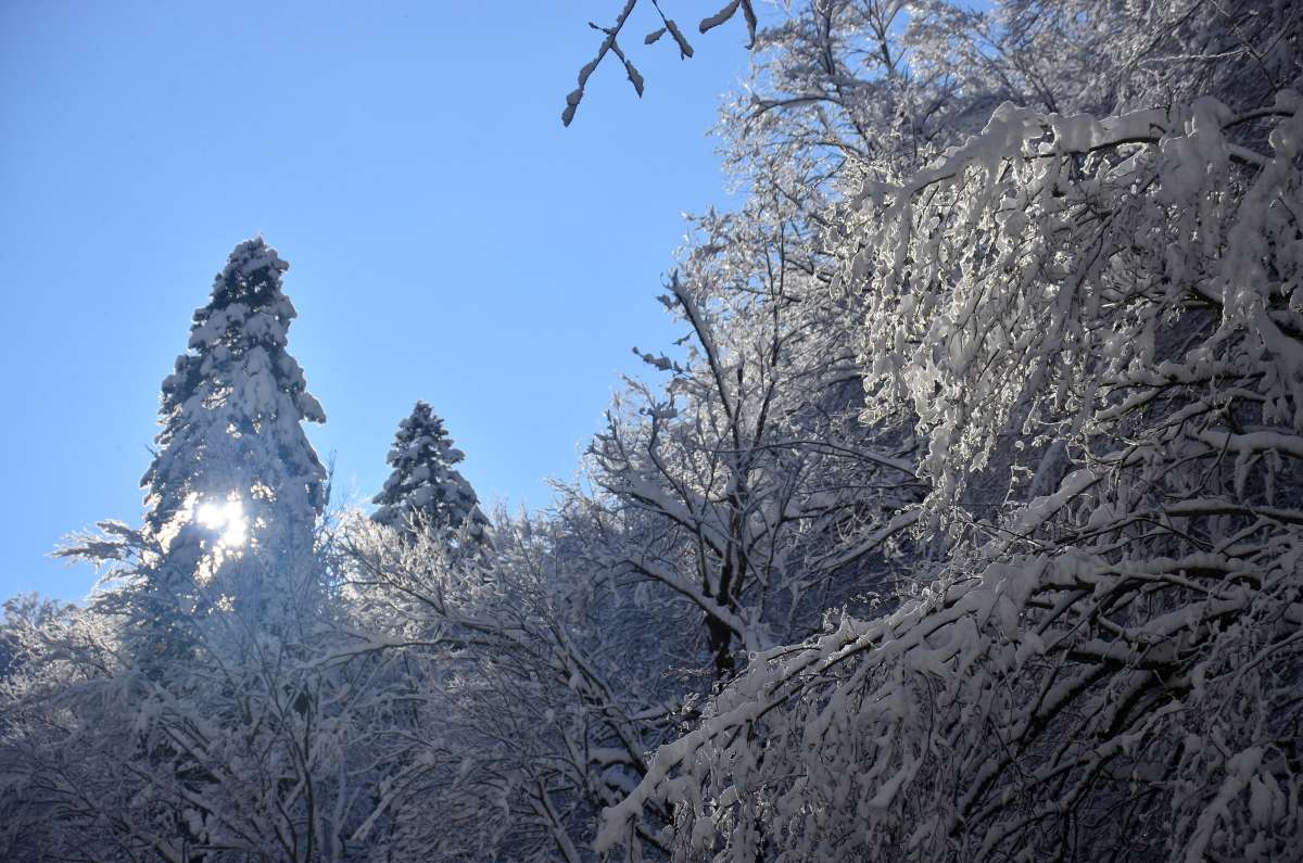 ������ ����� ����  �� PhotoGeek.ru #������ ��� �������