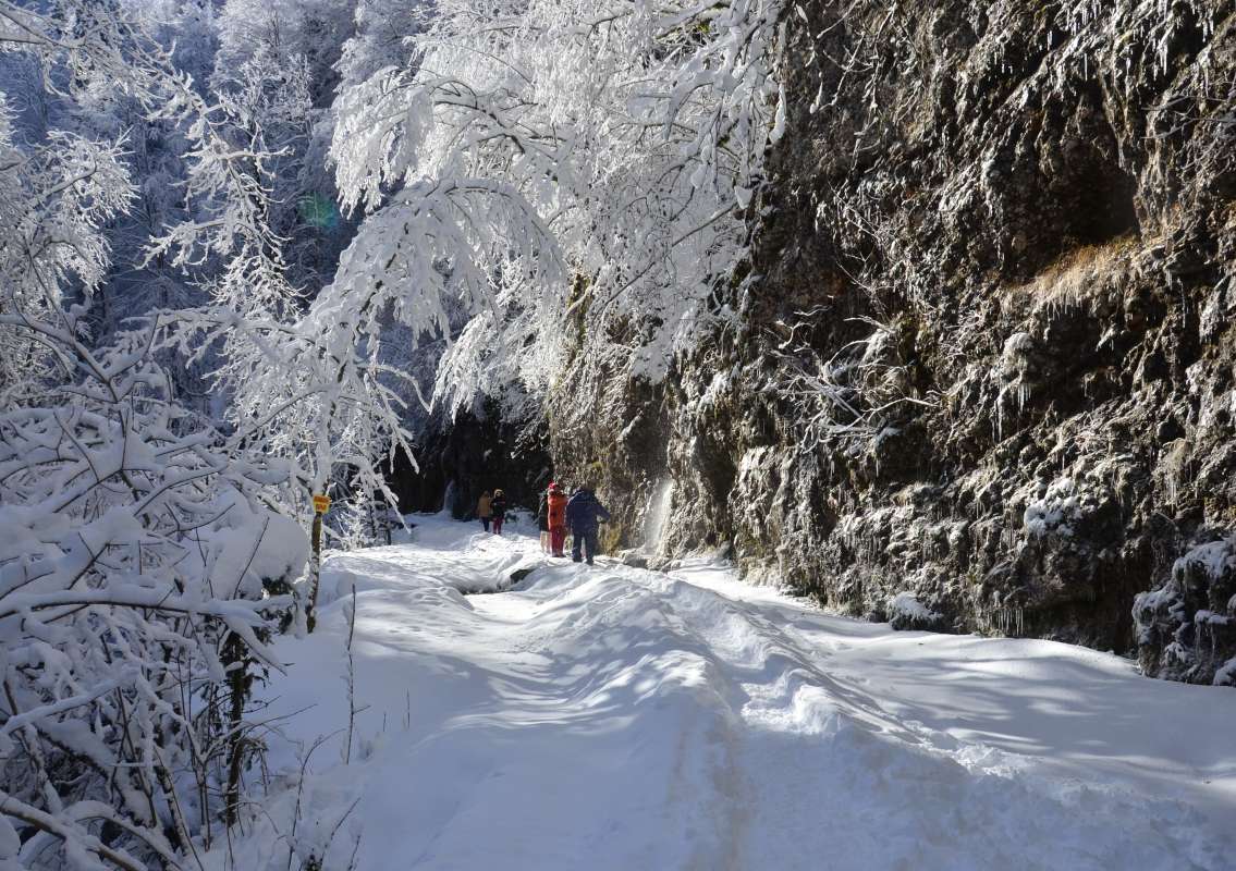 ����������� � ������ ����� ����  �� PhotoGeek.ru #������ ��� �������