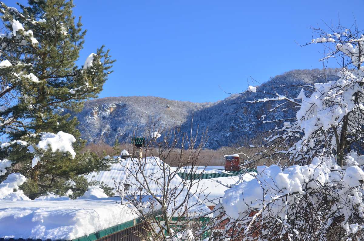 ���� � ������ ����� ����  �� PhotoGeek.ru #������ ��� �������