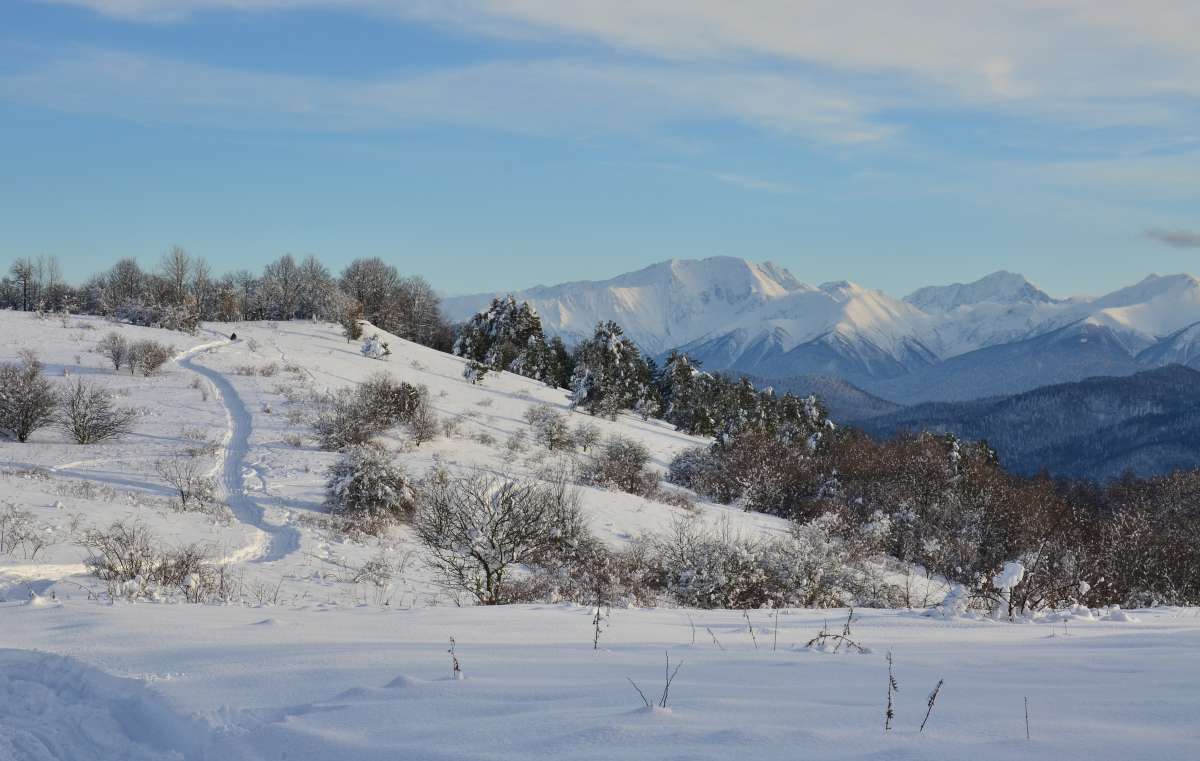 �� ������ � ���� ����, ������ ����� ����  �� PhotoGeek.ru #������ ��� �������