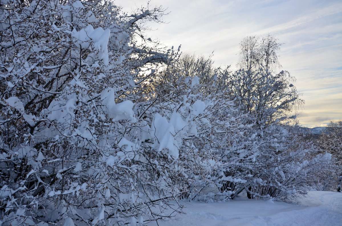 �� ������ ��� ����� ����  �� PhotoGeek.ru #������ ��� �������