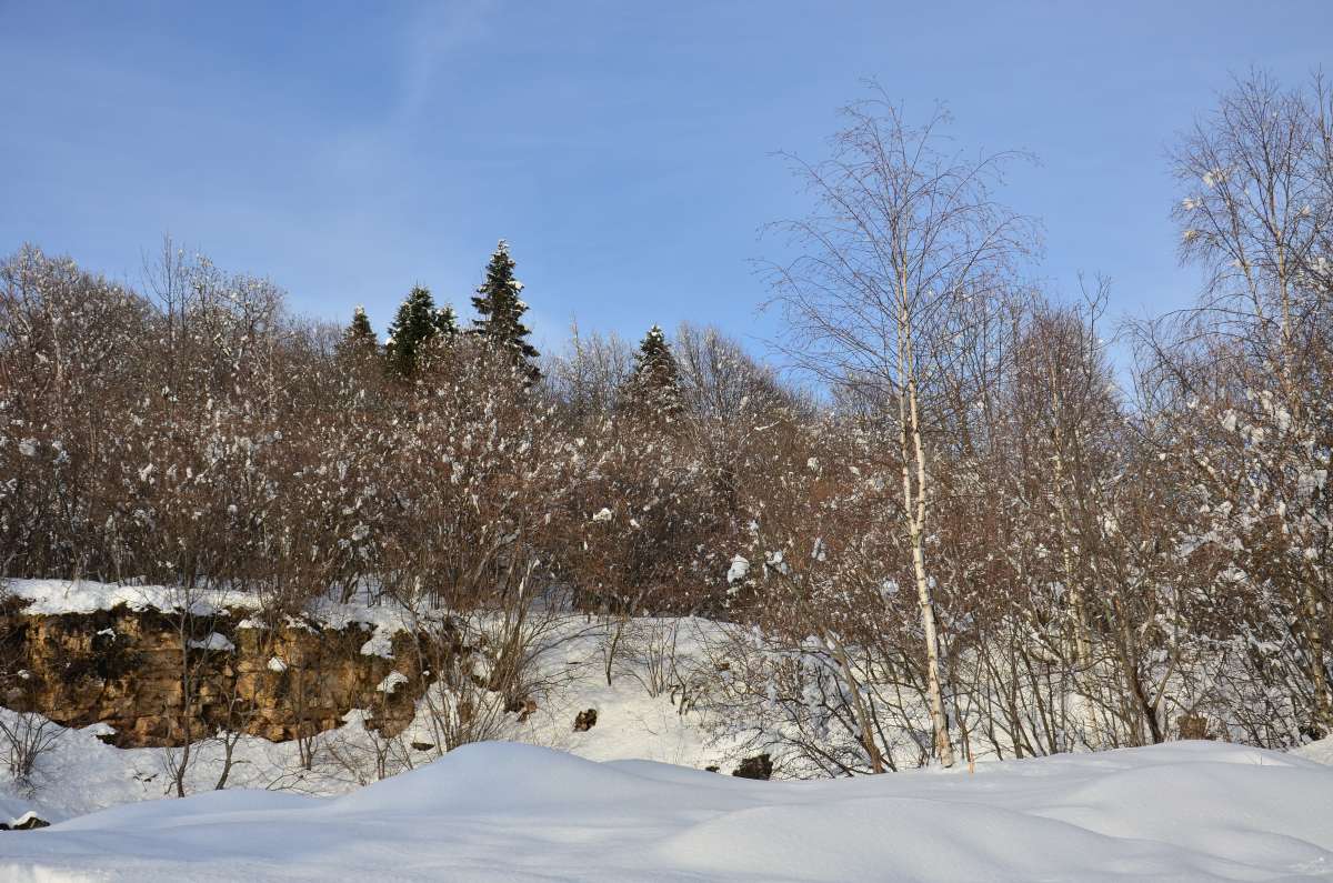 ���� � ������ ����� ����  �� PhotoGeek.ru #������ ��� �������