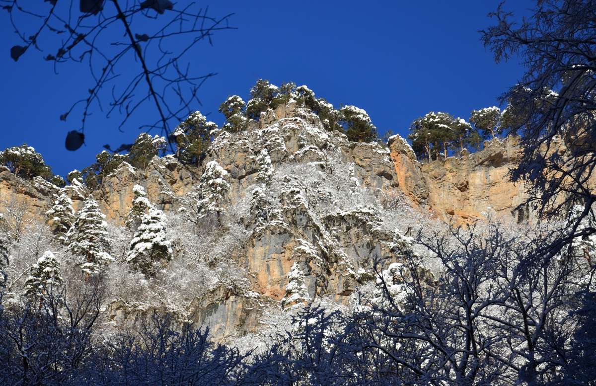 ... ����� ����  �� PhotoGeek.ru #������ ��� �������