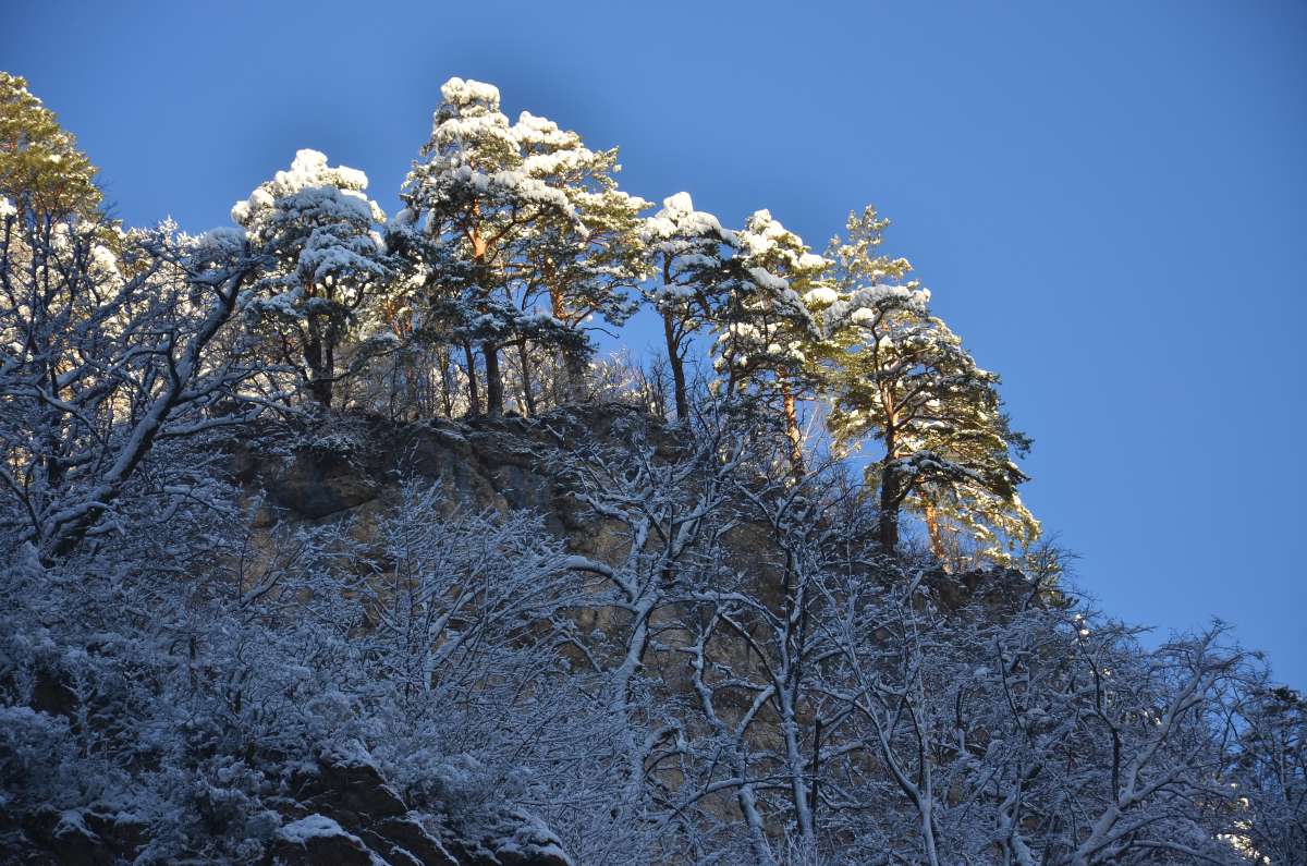 �� ��������, ������ ����� ����  �� PhotoGeek.ru #������ ��� �������