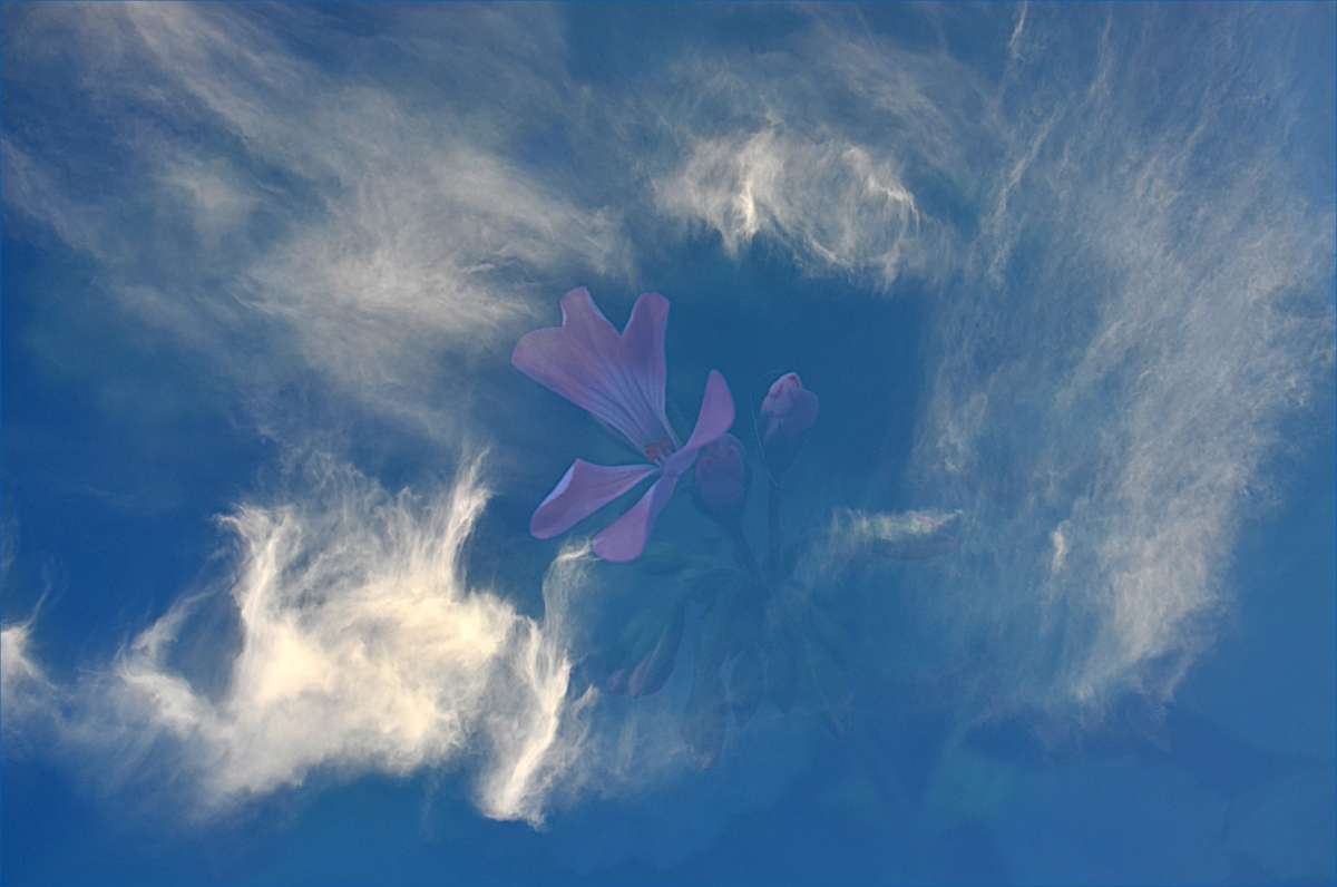 где то там в облаках автор ПЕТР  на PhotoGeek.ru #Абстракт #Fine Art #Коллаж