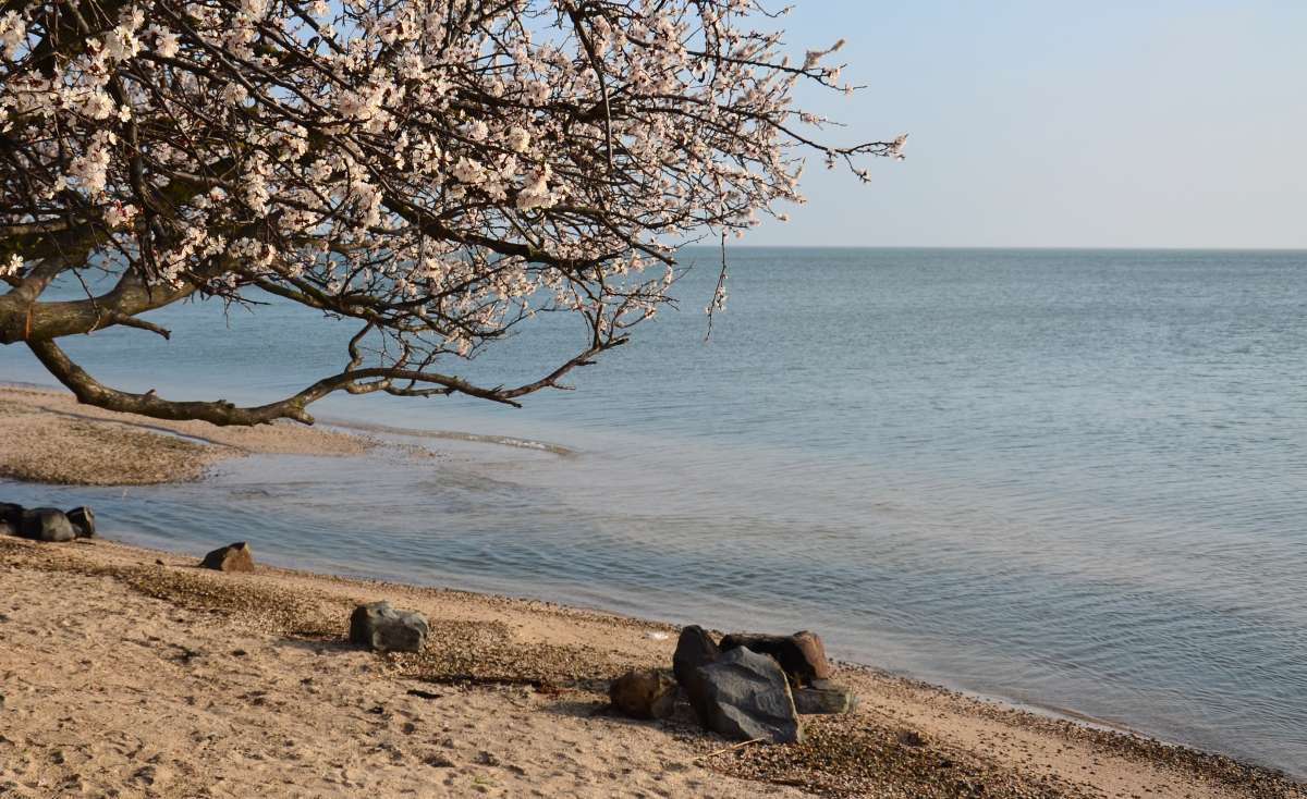 ����� ����� ����  �� PhotoGeek.ru #������ ��� �������