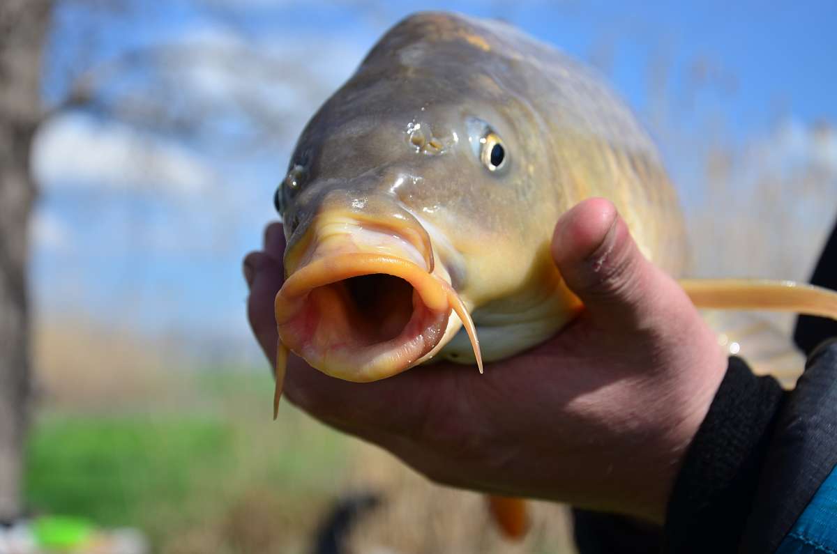 ���� ����� ����  �� PhotoGeek.ru #�������� ���