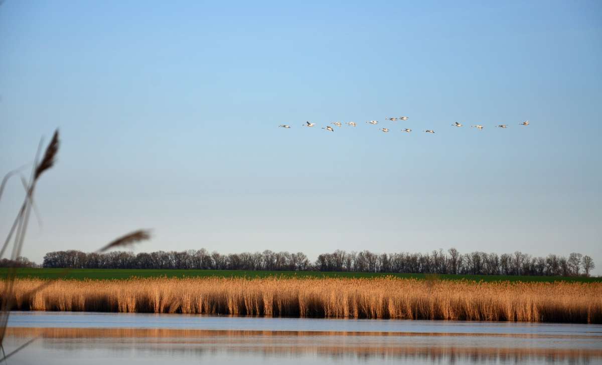 ��� ����� ����� ����  �� PhotoGeek.ru #�������� ��� #������ ��� ������� #����� ��� ��� ���������