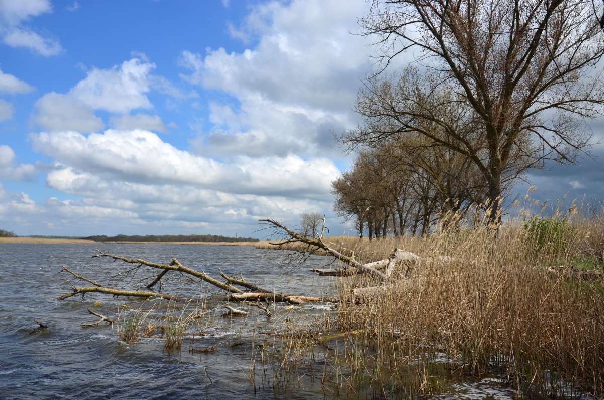 ���������� ������ ����� ����  �� PhotoGeek.ru #������ ��� �������