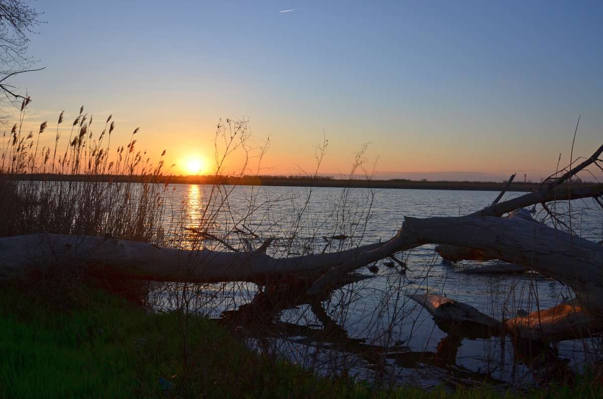 �� ������ ����� ����  �� PhotoGeek.ru #������ ��� �������