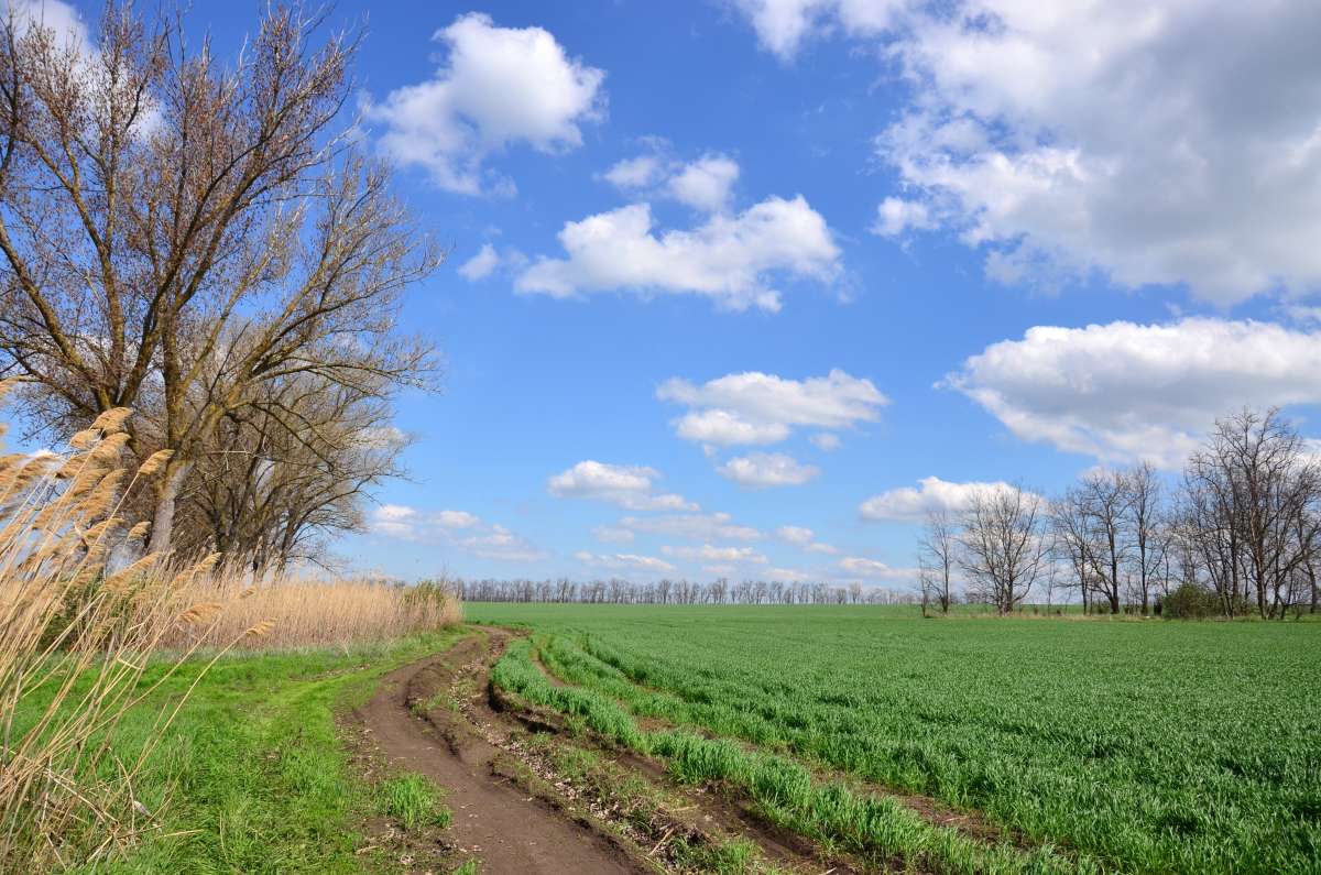 ������ ������ ����� ����  �� PhotoGeek.ru #������ ��� �������