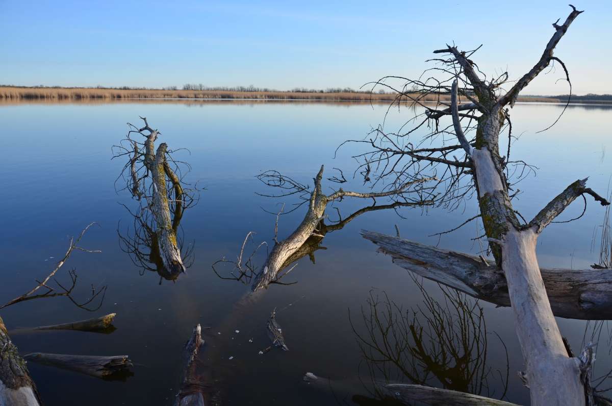 ... ����� ����  �� PhotoGeek.ru #������ ��� �������