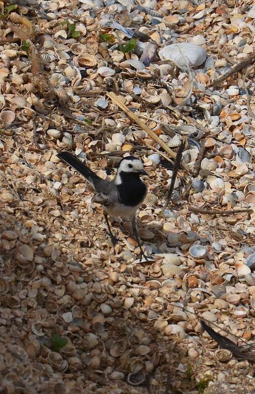 ... ����� ����  �� PhotoGeek.ru #�������� ���