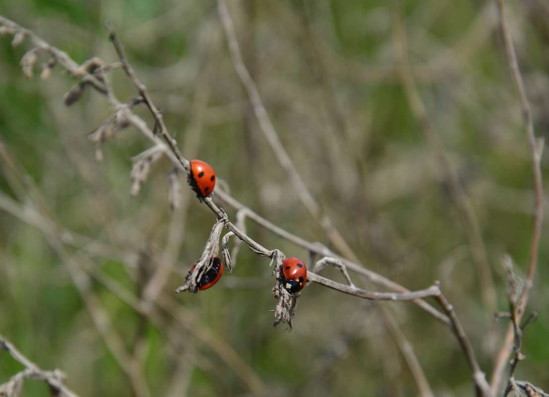 ... ����� ����  �� PhotoGeek.ru #�������� ��� #������ ��� ������� #���������