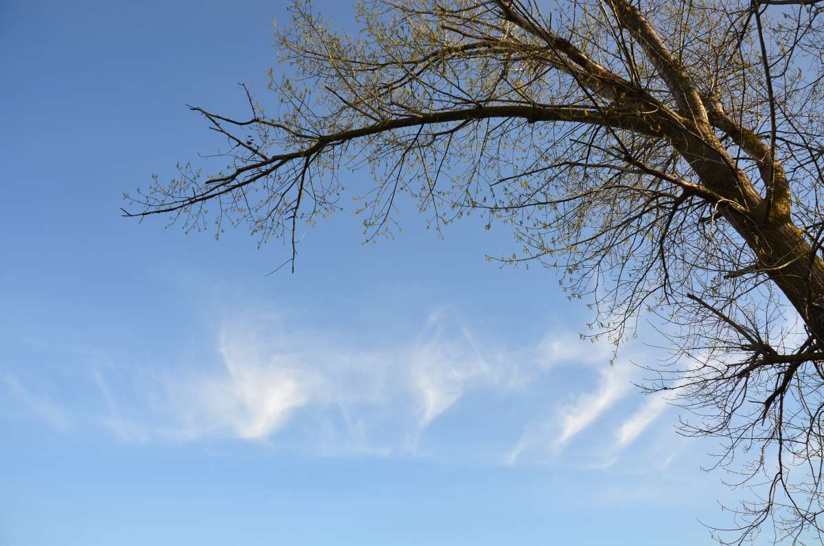 ������ ����� ����  �� PhotoGeek.ru #������ ��� ������� #���������