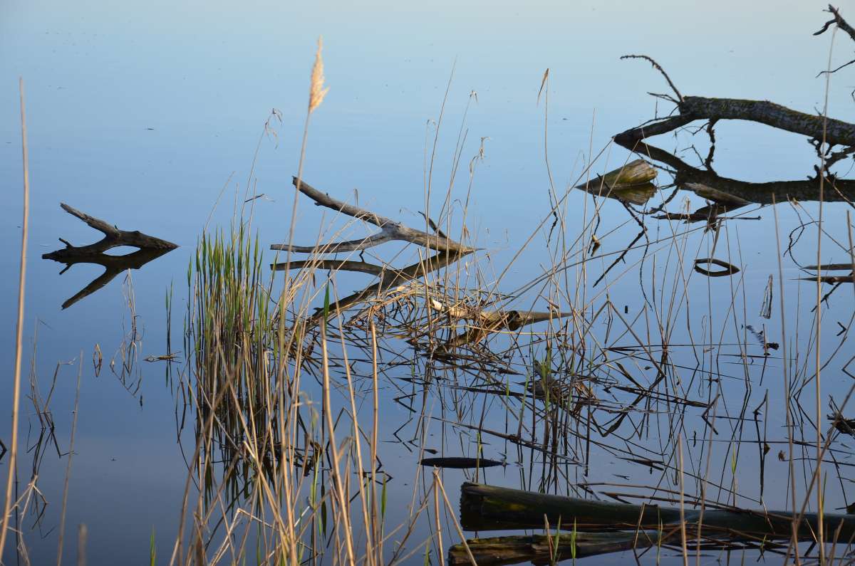 ���� �� ���� ����� ����  �� PhotoGeek.ru #������ ��� ������� #���������