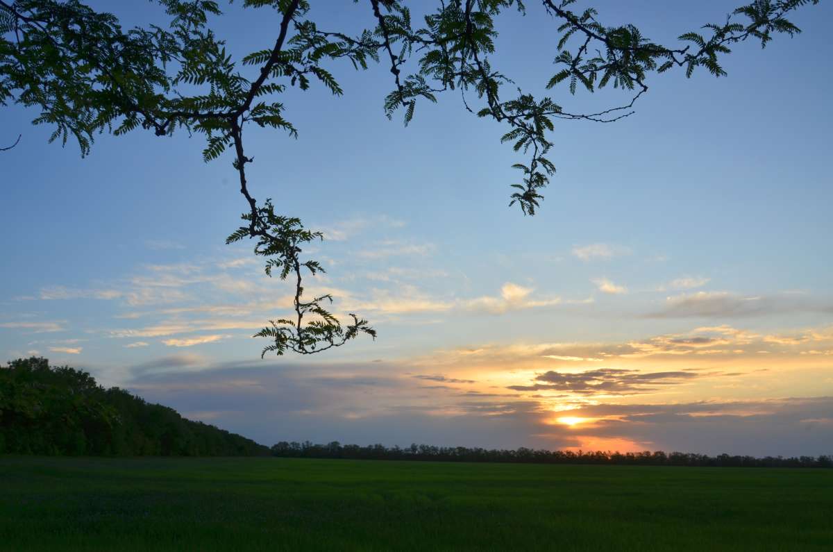 ... ����� ����  �� PhotoGeek.ru #������ ��� �������