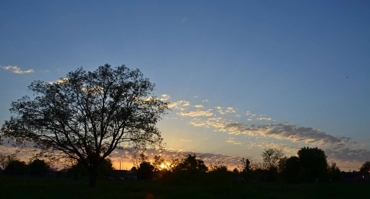 ... ����� ����  �� PhotoGeek.ru #������ ��� �������