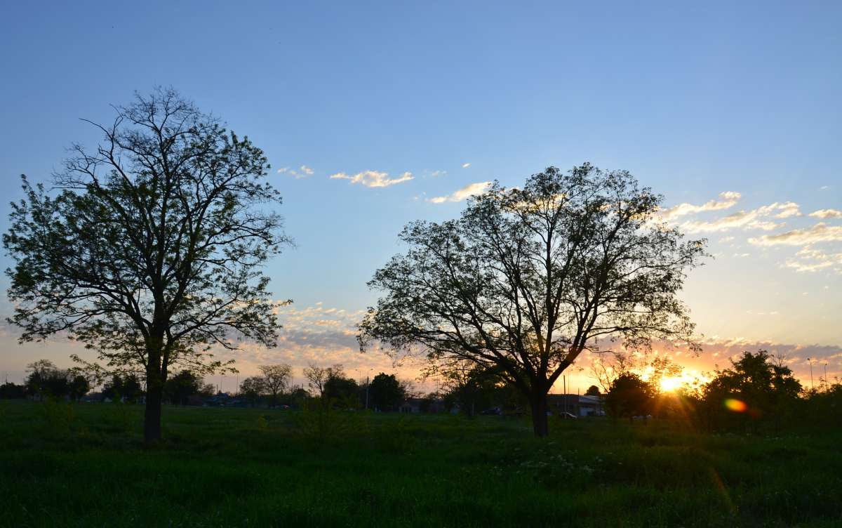 ... ����� ����  �� PhotoGeek.ru #������ ��� �������