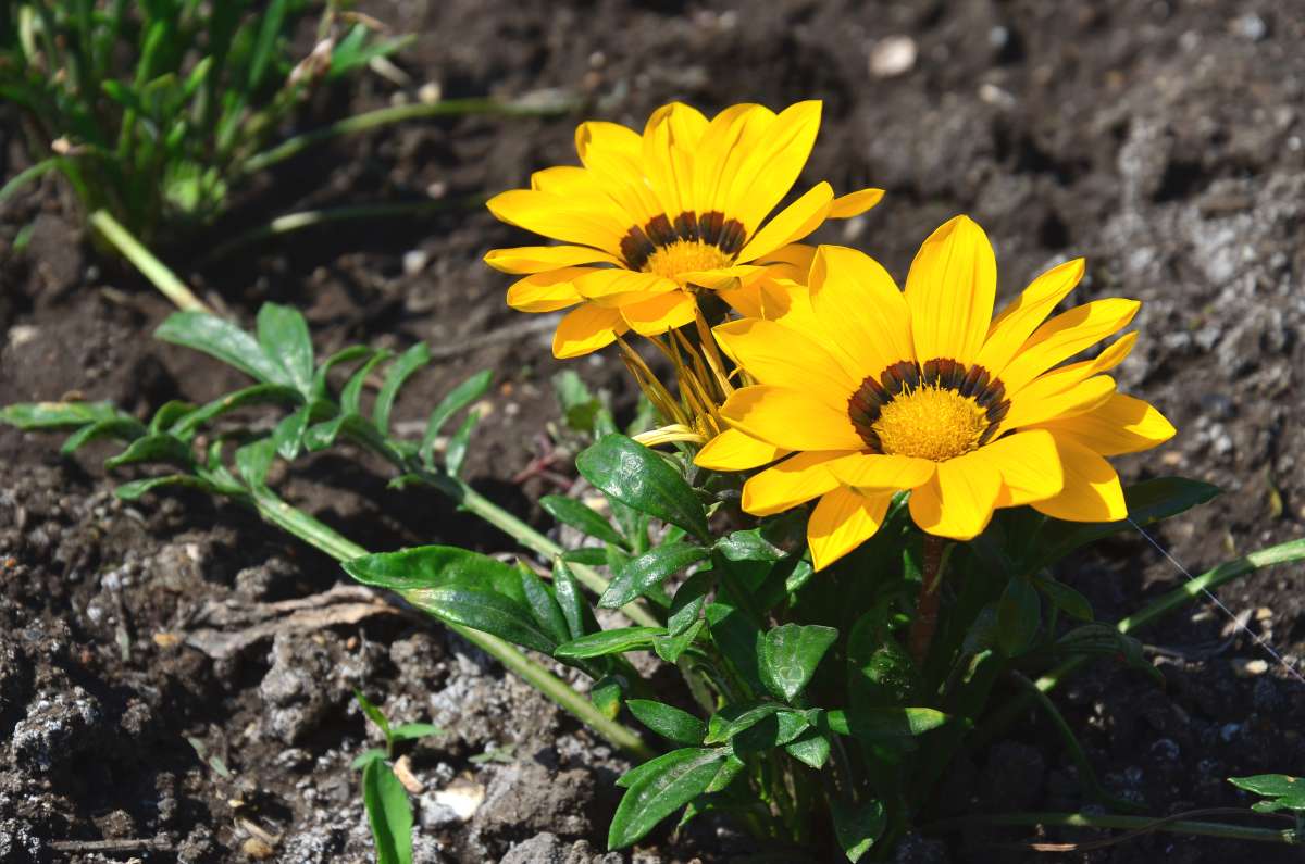 ... ����� ����  �� PhotoGeek.ru #������ ��� ������� #����� ��������������