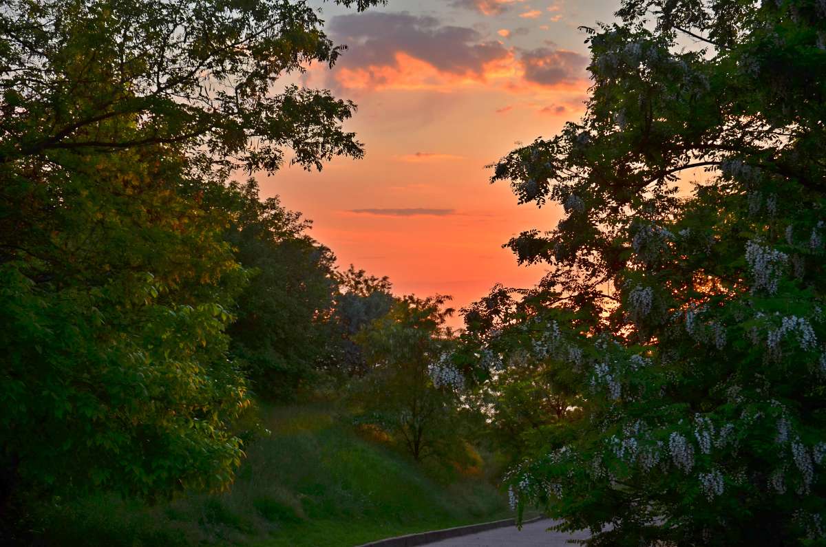 �������� ����� ����� ����  �� PhotoGeek.ru #������ ��� �������