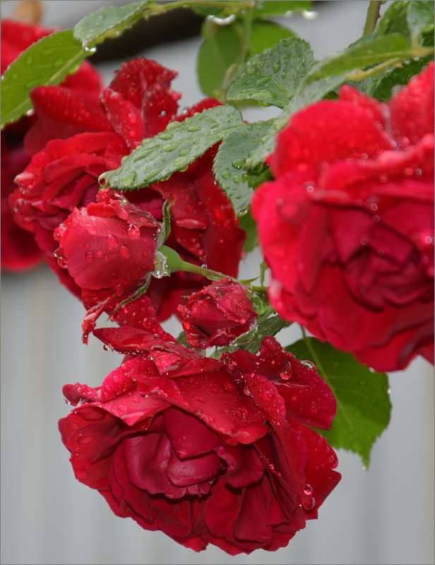 � ����� ����� ����  �� PhotoGeek.ru #������ ��� ������� #����� �������������� #���������