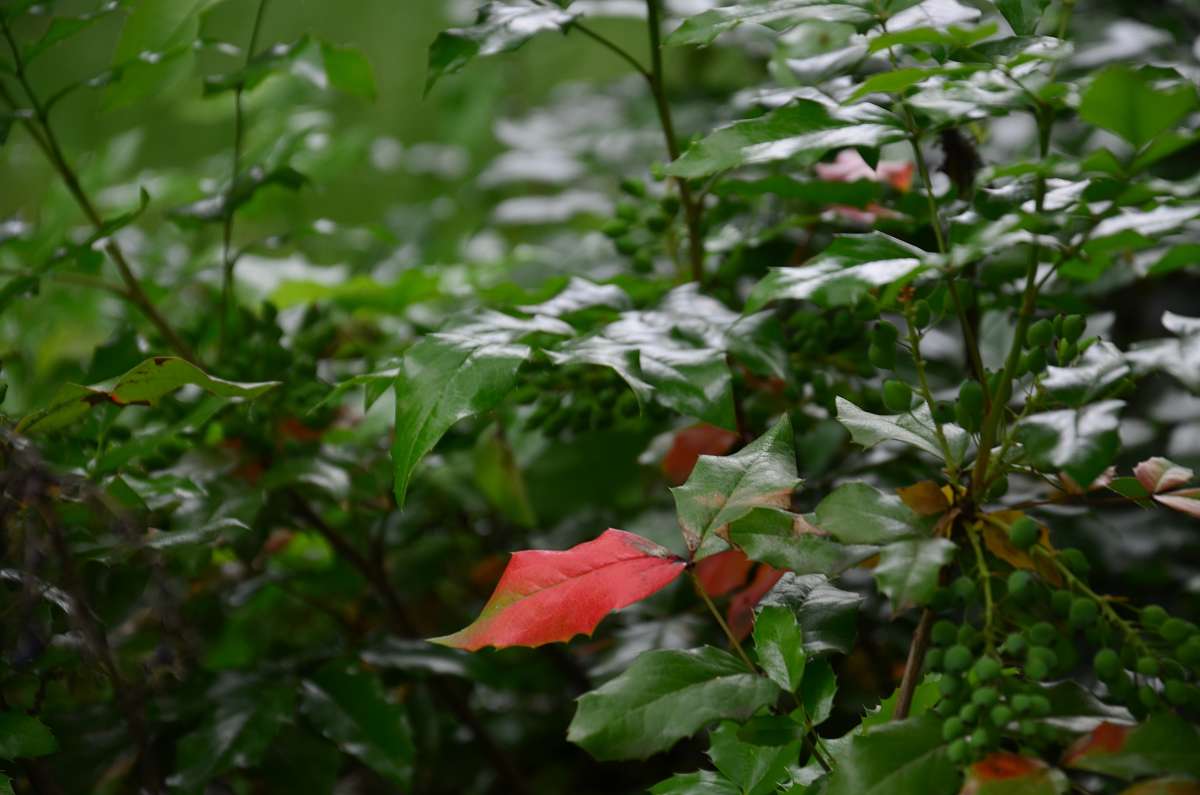 ... ����� ����  �� PhotoGeek.ru #������ ��� ������� #����� �������������� #���������