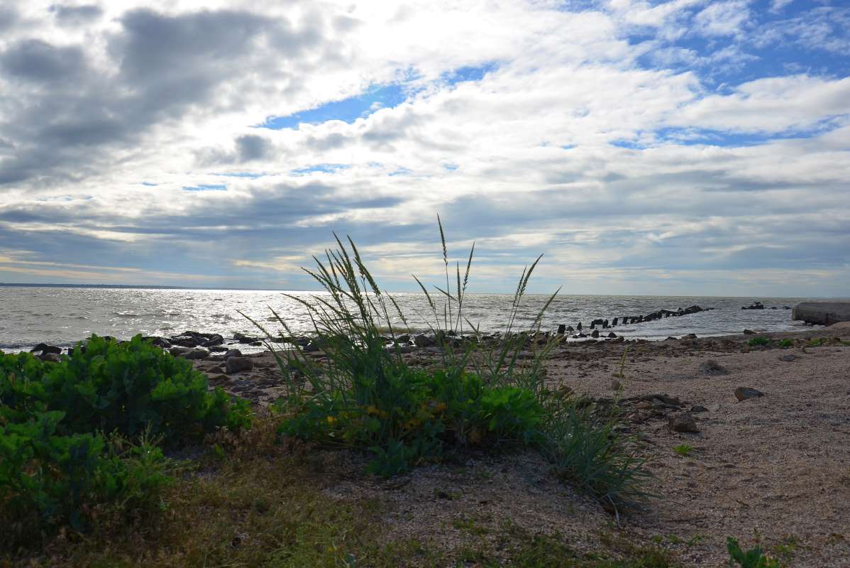 ... ����� ����  �� PhotoGeek.ru #������ ��� �������