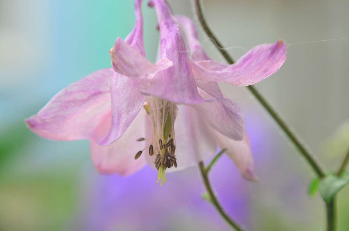 ... ����� ����  �� PhotoGeek.ru #����� #������ ��� ������� #����� �������������� #���������