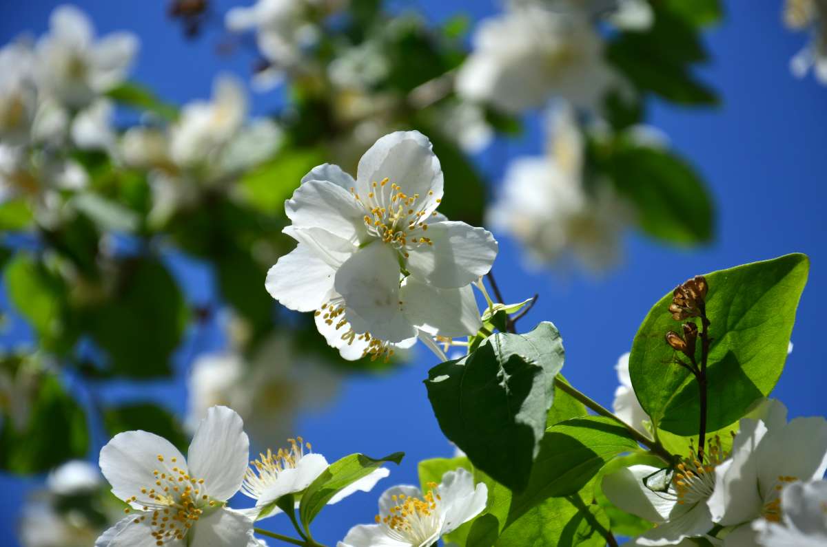 ... ����� ����  �� PhotoGeek.ru #������ ��� ������� #����� �������������� #���������