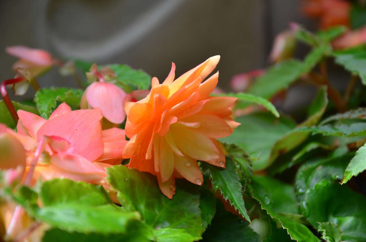 ... ����� ����  �� PhotoGeek.ru #������ ��� ������� #����� �������������� #���������