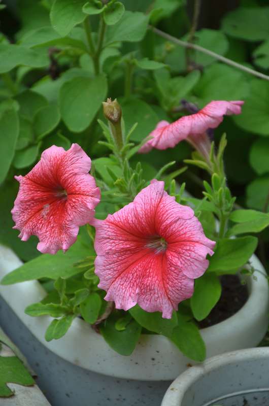 ... ����� ����  �� PhotoGeek.ru #������ ��� ������� #����� �������������� #���������