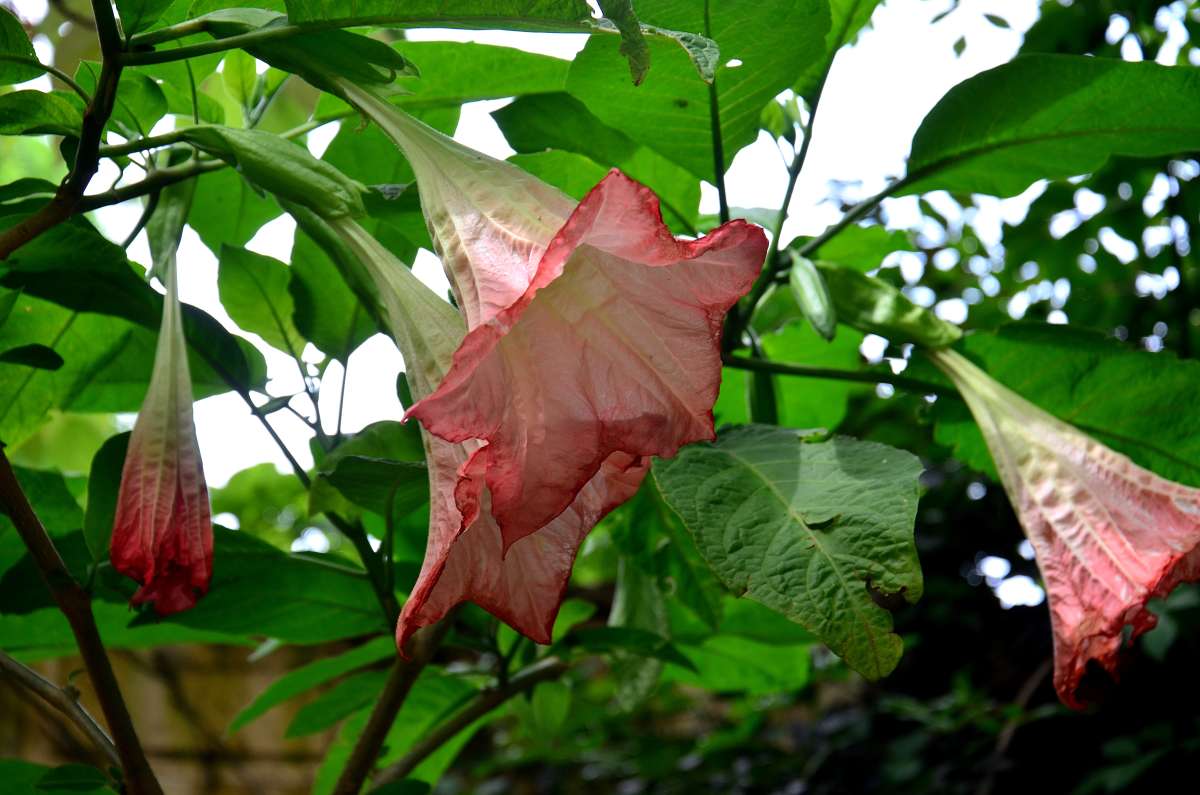 ... ����� ����  �� PhotoGeek.ru #������ ��� ������� #����� �������������� #���������