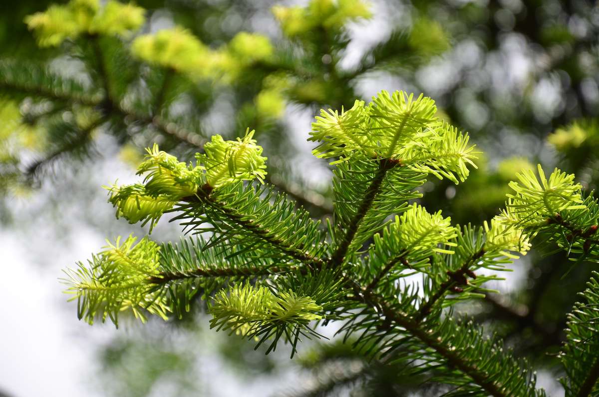 ... ����� ����  �� PhotoGeek.ru #������ ��� ������� #����� �������������� #���������