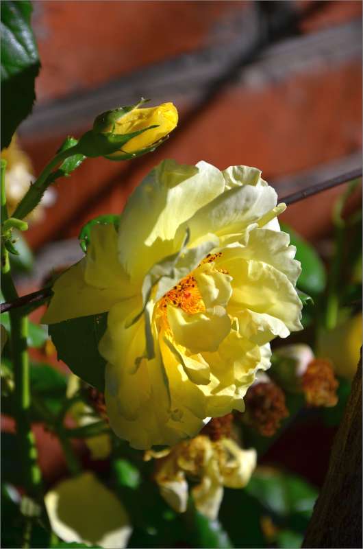 � ����� ����� ����  �� PhotoGeek.ru #������ ��� ������� #����� �������������� #���������