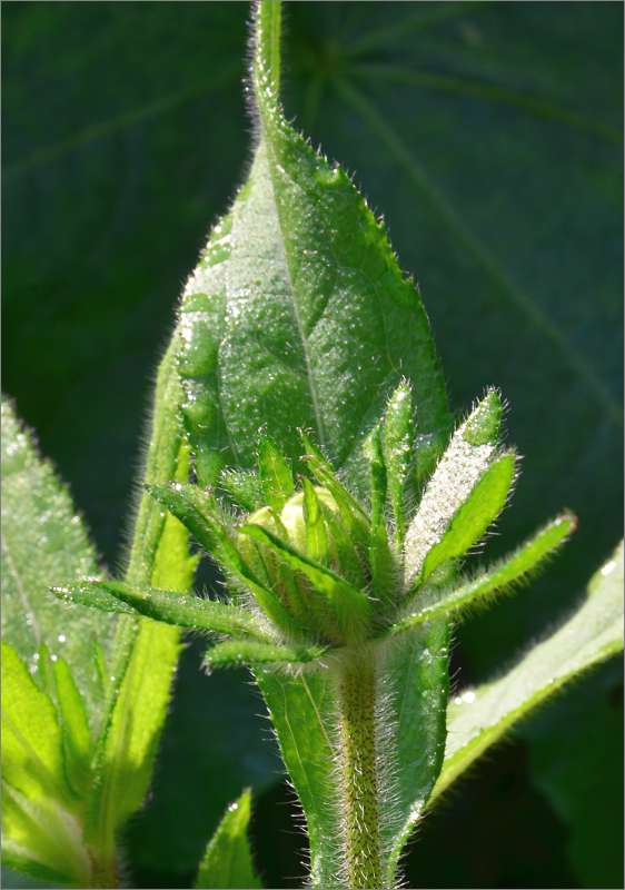 ... ����� ����  �� PhotoGeek.ru #����� #������ ��� ������� #����� �������������� #���������