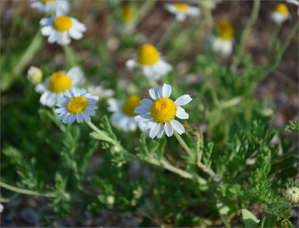 ... ����� ����  �� PhotoGeek.ru #����� #������ ��� ������� #����� �������������� #���������