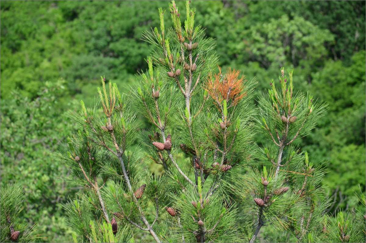 ... ����� ����  �� PhotoGeek.ru #������ ��� ������� #����� �������������� #���������