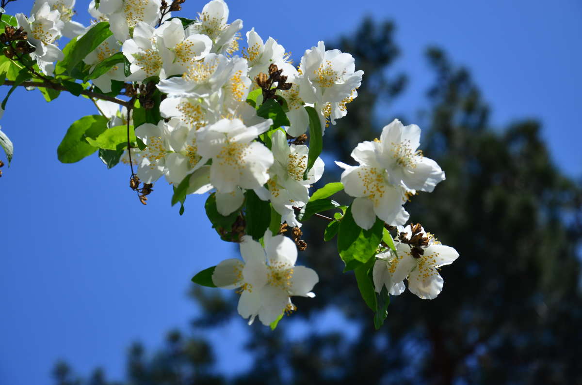 ... ����� ����  �� PhotoGeek.ru #������ ��� ������� #����� �������������� #���������