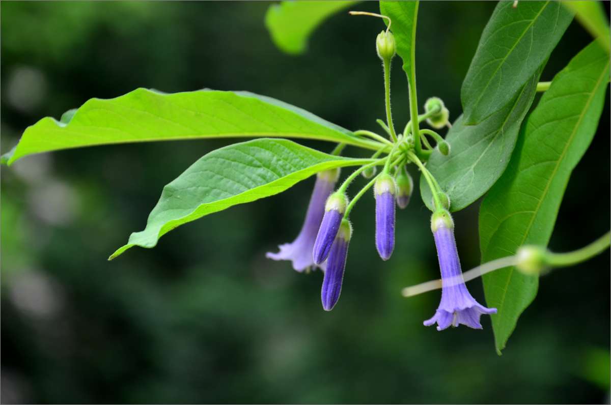 ... ����� ����  �� PhotoGeek.ru #������ ��� ������� #����� �������������� #���������