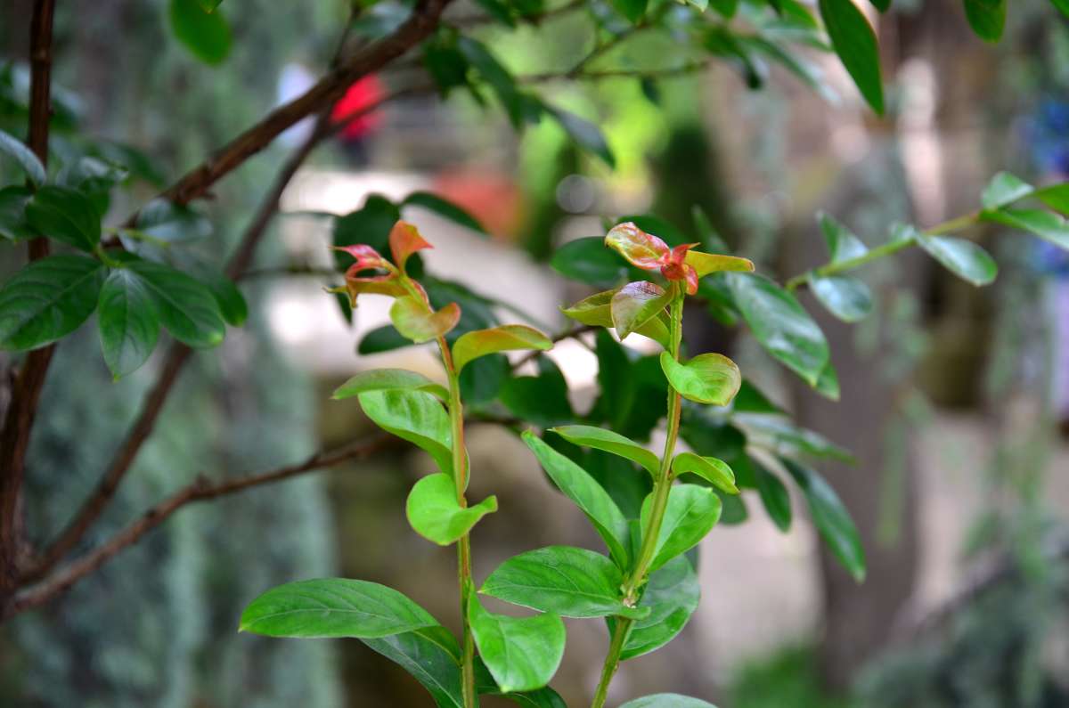 ... ����� ����  �� PhotoGeek.ru #������ ��� ������� #����� �������������� #���������