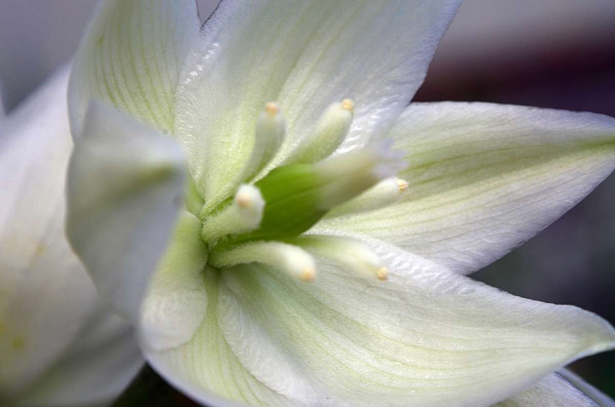 ���� ����� ����  �� PhotoGeek.ru #������ ��� ������� #����� �������������� #���������