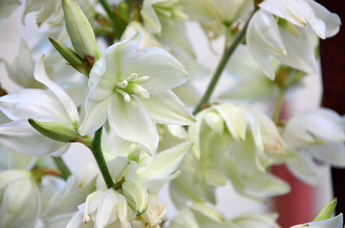 ���� ����� ����  �� PhotoGeek.ru #������ ��� ������� #����� �������������� #���������