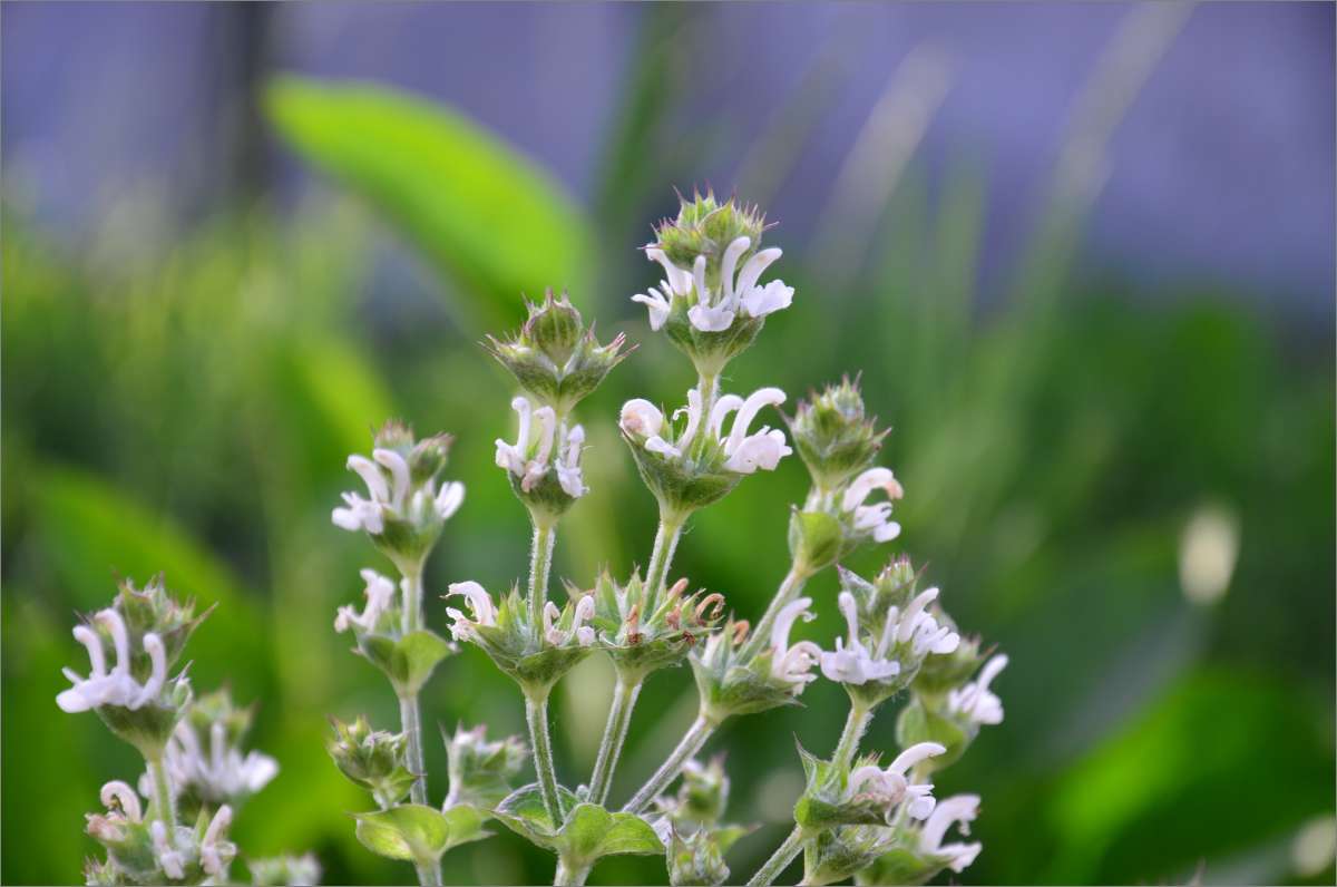 ������ ��������� ����� ����  �� PhotoGeek.ru #����� #������ ��� ������� #����� ��������������